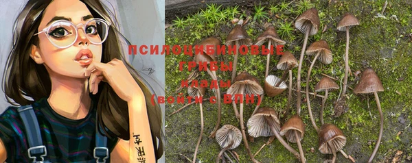герыч Белокуриха