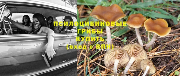 a pvp Беломорск